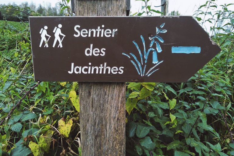 Sentier des Jacinthes